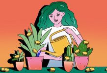 How to Choose Dividend Stocks