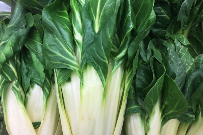 How To Grow Chard: 7 Useful Tips